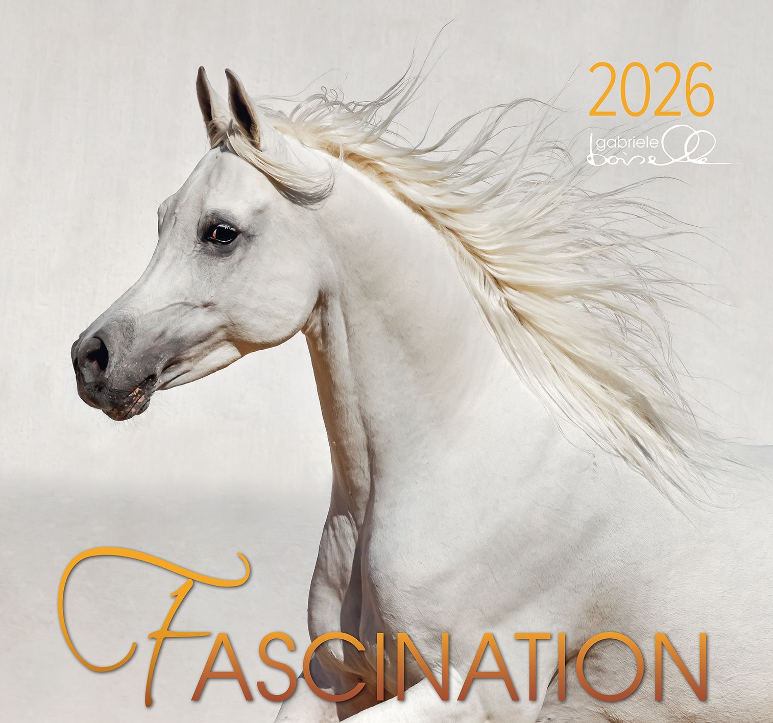 00 fascination 2025